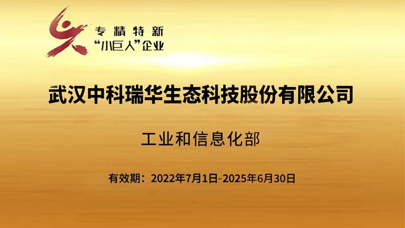 2.专精特新小巨人企业奖牌.jpg