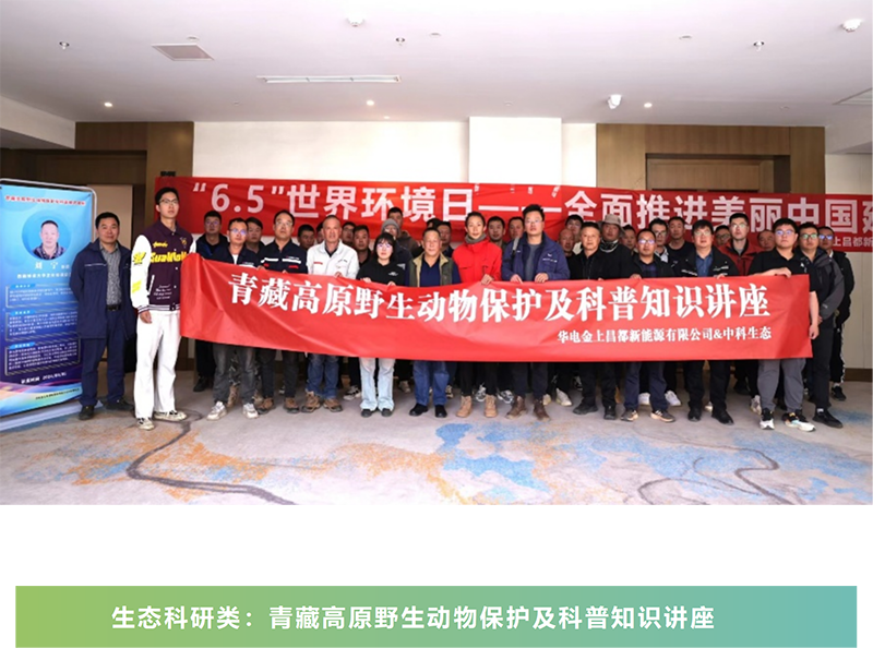 图片13.png