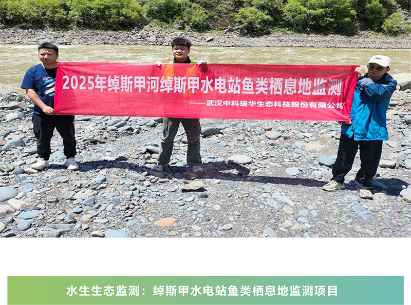 图片12.png