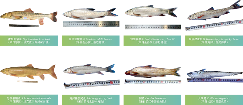 图片11.png