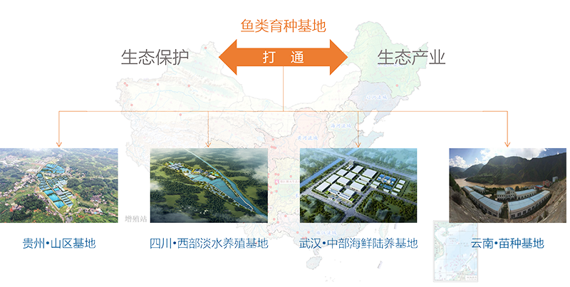 图片15.png